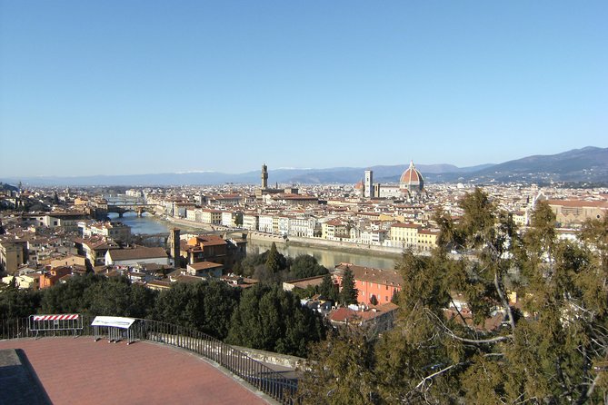 Florence and Pisa Shore Excursion from Livorno - Timing, walking, and ship safety