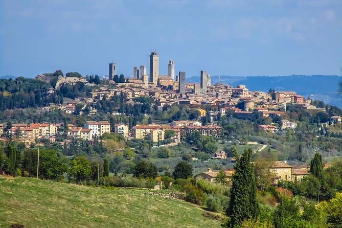 Florence and San Gimignano Private Tour from Livorno - From Livorno port to Florence in a private minivan