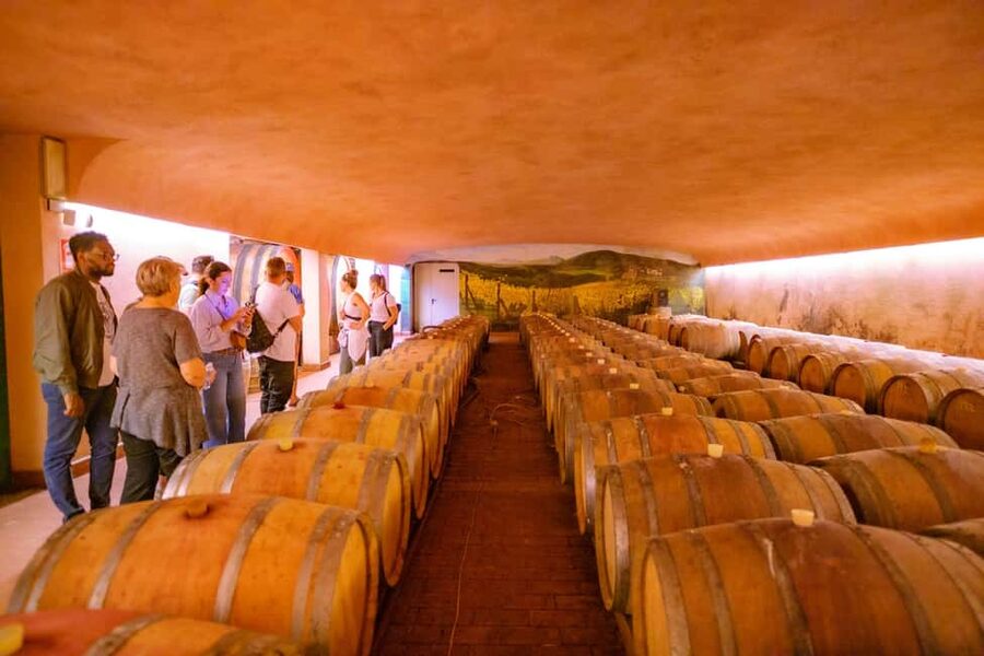 Florence: Chianti E-Bike Tour with Lunch & Two Wine Tastings - The winery: Chianti Classico, cellar talk, and lunch