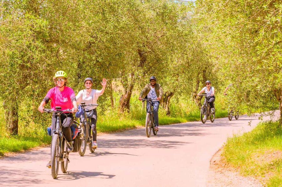 Florence: Chianti E-Bike Tour with Lunch & Two Wine Tastings - Is $116 a good value?