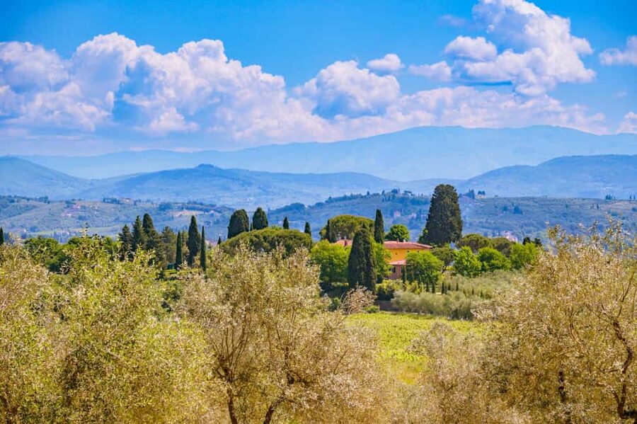 Florence: Chianti E-Bike Tour with Lunch & Two Wine Tastings - The Chianti hills and the real ride