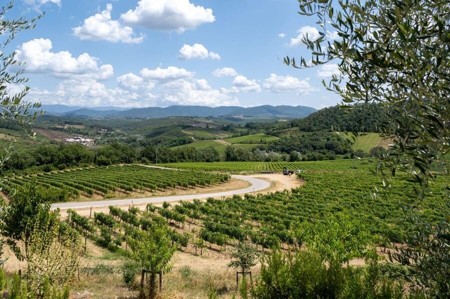 Florence: Chianti E-Bike Tour with Wine Tasting and Lunch - Impruneta and the farm lunch