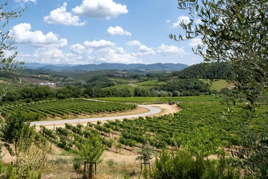 Florence: Chianti E-Bike Tour with Wine Tasting and Lunch - Is $117 a fair price?