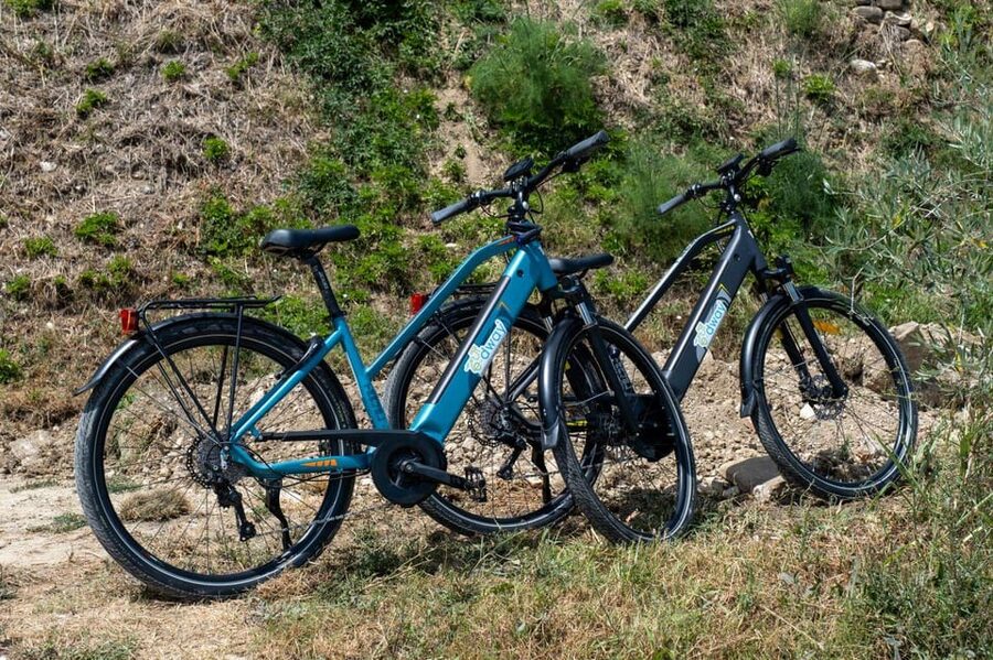Florence: Chianti E-Bike Tour with Wine Tasting and Lunch - Languages, group size, and practical comfort