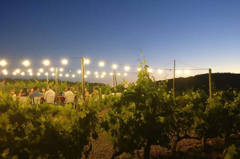Florence: Chianti Vineyards Tour with Wine Tasting & Dinner - Booking and cancellation notes