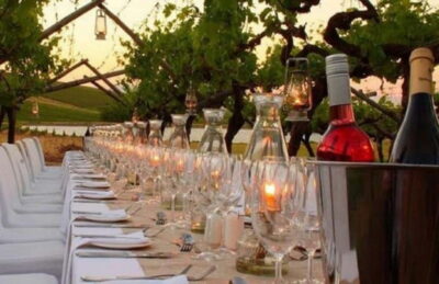 Chianti Vineyards Tour with Wine Tasting & Dinner