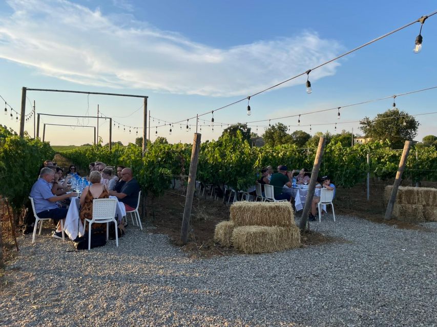 Florence: Chianti Vineyards Tour with Wine Tasting & Dinner - The hosts make a real difference