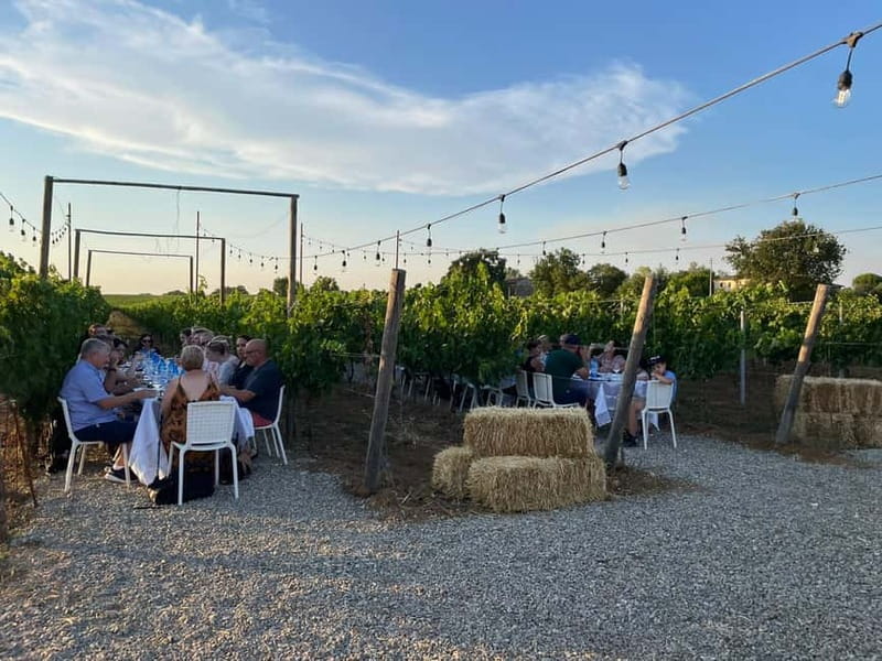 Florence: Chianti Vineyards Tour with Wine Tasting & Dinner - Timing, weather, and what to wear