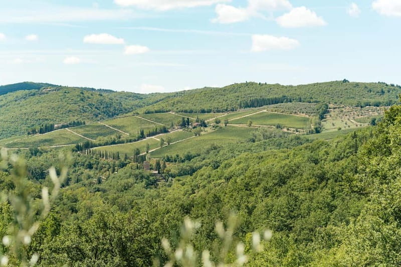Florence: Chianti Wineries Tour with Wine Tasting - Is $56.37 a good deal?