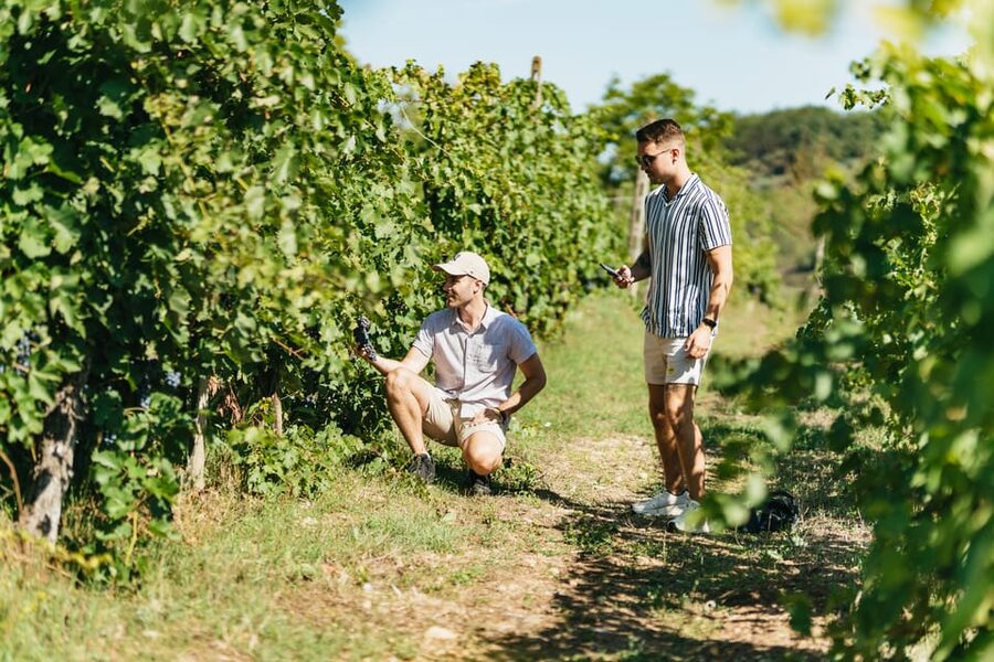 Florence: Chianti Wineries Tour with Wine Tasting - What to bring and what to know before booking