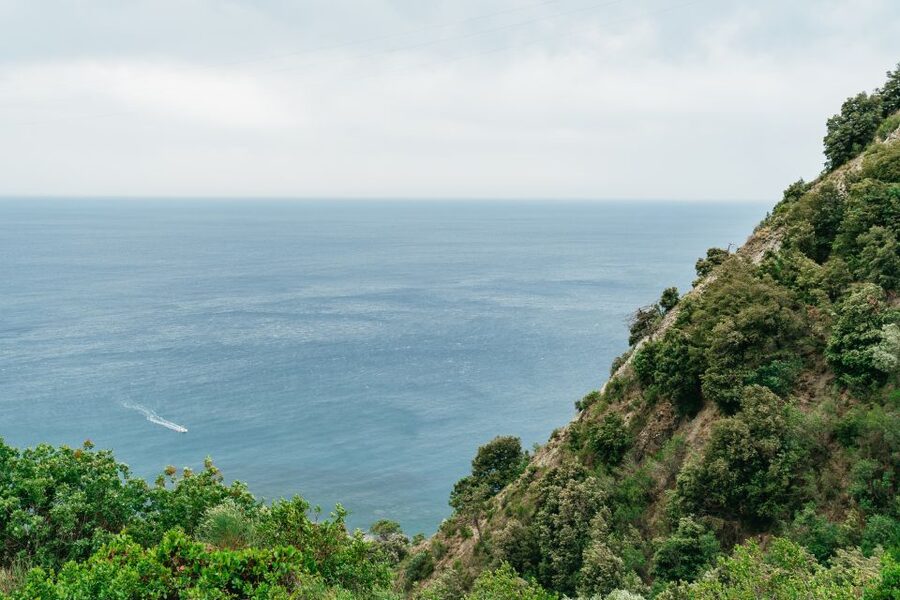 Florence: Cinque Terre Day Trip with Optional Hike - Crowds, trains, and group discipline