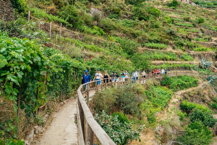 Florence: Cinque Terre Day Trip with Optional Hike - Corniglia and the climb above the sea