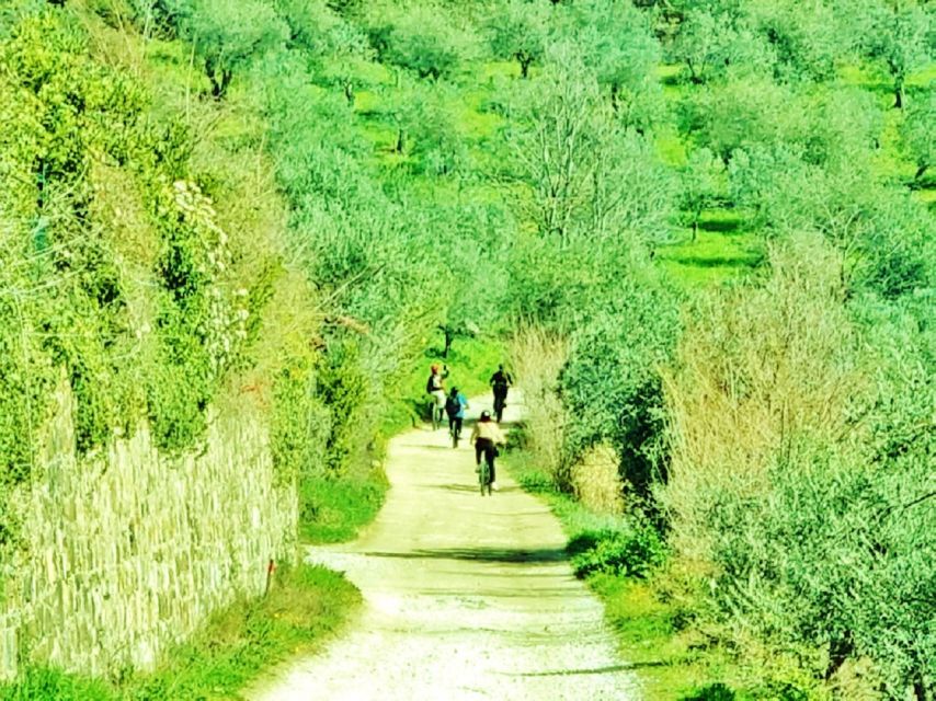 Florence: Country Ebike tour + Wine tasting in organic farm - Riding Back Along the Arno
