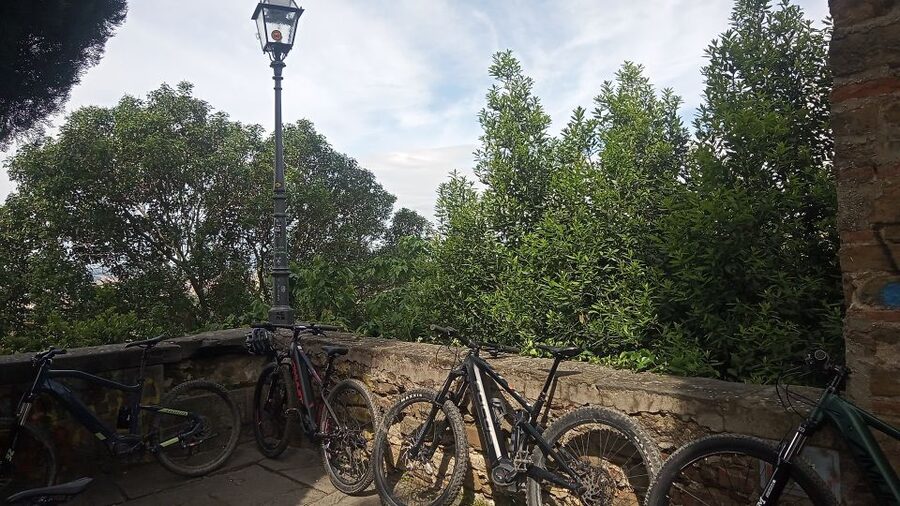 Florence: Country Ebike tour + Wine tasting in organic farm - Who Will Enjoy This Experience Most