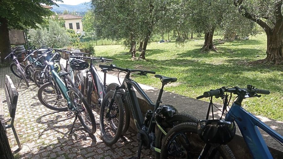 Florence: Country Ebike tour + Wine tasting in organic farm - Practical Tips Before You Book