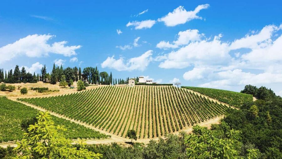 Florence Countryside 2.5h Premium E-Bike Tour + Photo Shoot - Why this ride gets you beyond central Florence