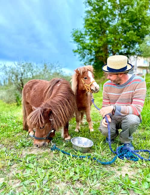 Florence: Countryside Tour with Wine Tasting & Pasta Class - Key points to know before booking