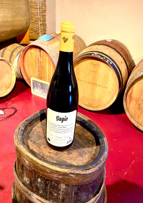 Florence: Countryside Tour with Wine Tasting & Pasta Class - Why the group size matters