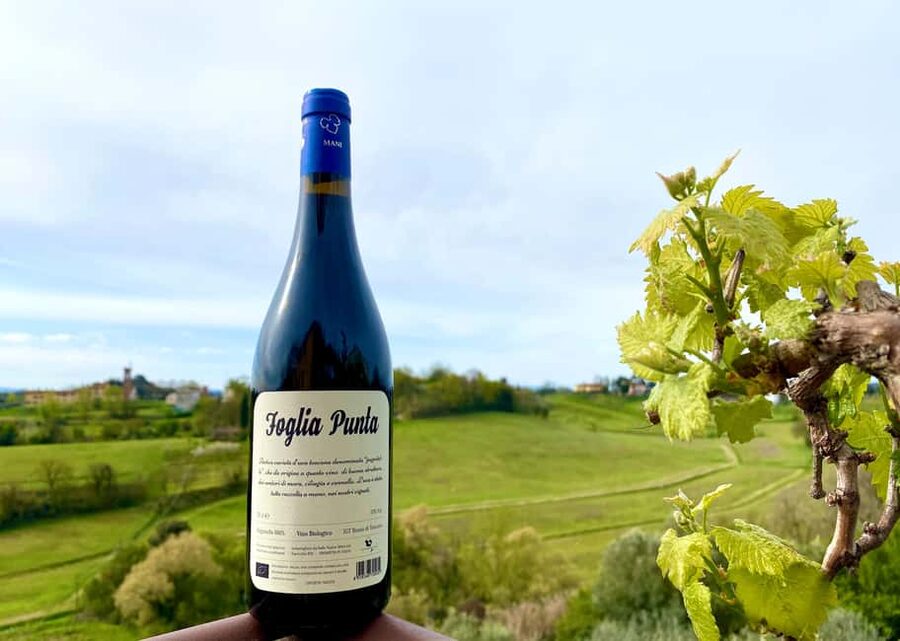 Florence: Countryside Tour with Wine Tasting & Pasta Class - Is the $71 price good value?