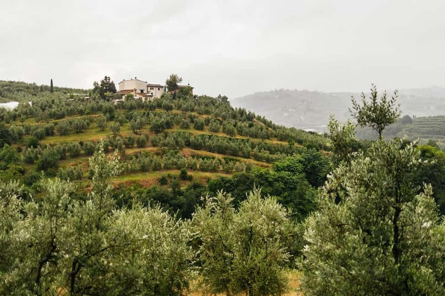 Florence: Countryside Vintage Fiat 500 Driving Tour - Why This Fiat 500 Tour Is Different