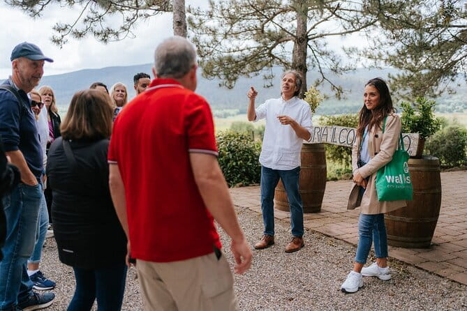 Florence Day Trip: Chianti Wine Tasting, Siena, San Gimignano - Meeting in Florence and heading into the hills