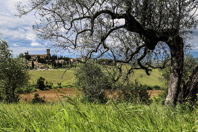 Florence: Day Trip with Free Time in San Gimignano and Siena - What the tour leader adds