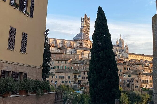 Florence: Day Trip with Free Time in San Gimignano and Siena - Who should book this day trip?