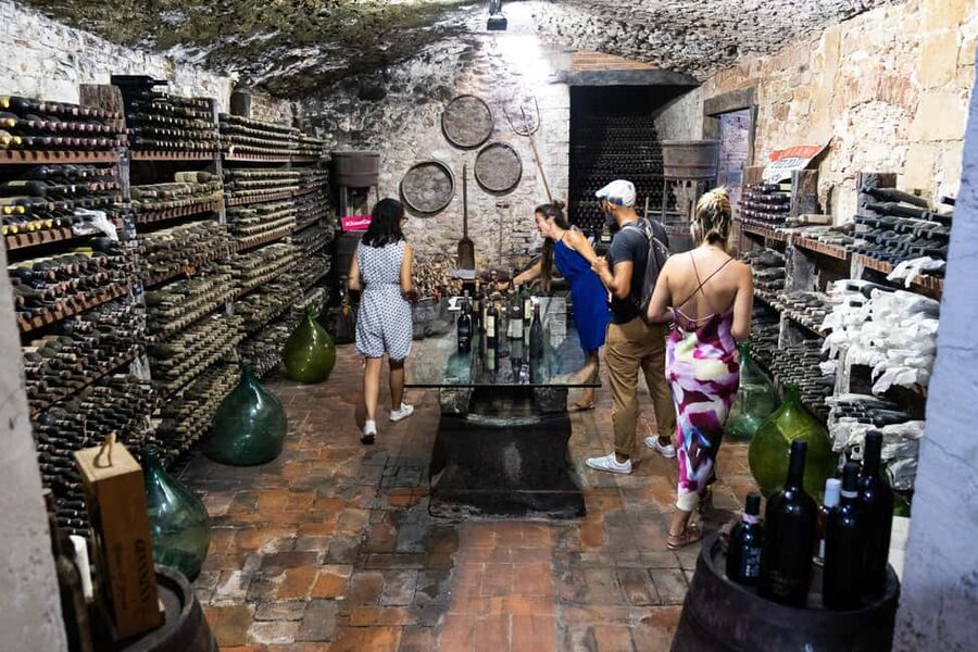 Florence: Exclusive Chianti Wine Tour at 3 Wineries & Lunch - What the $225.44 price includes