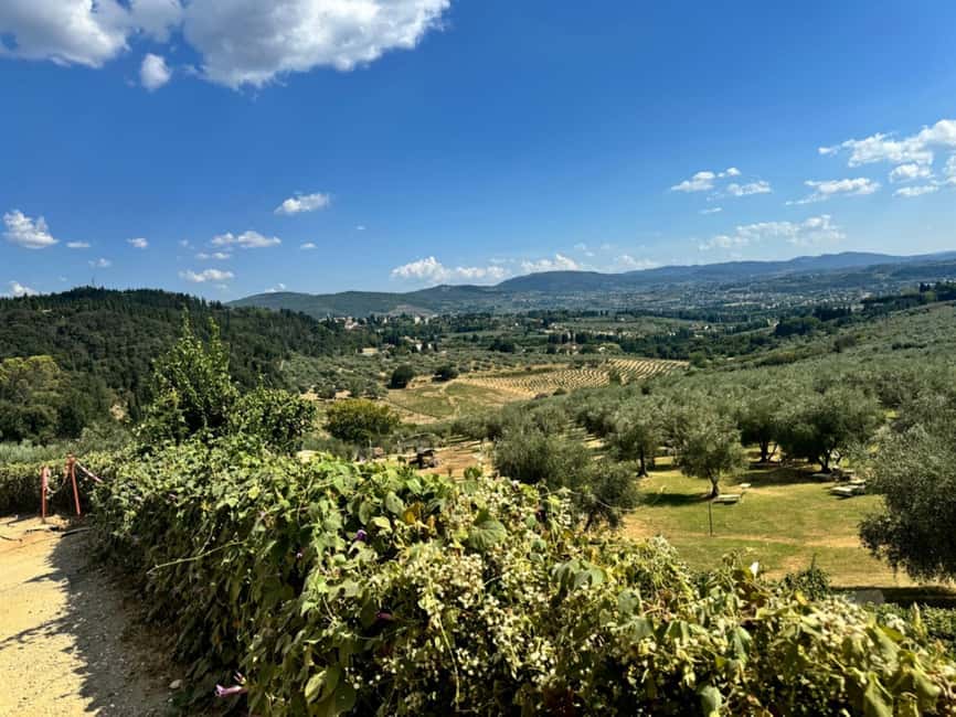 Florence: Fiesole E-Bike Tour with Olive Oil Tasting - Reaching hilltop Fiesole