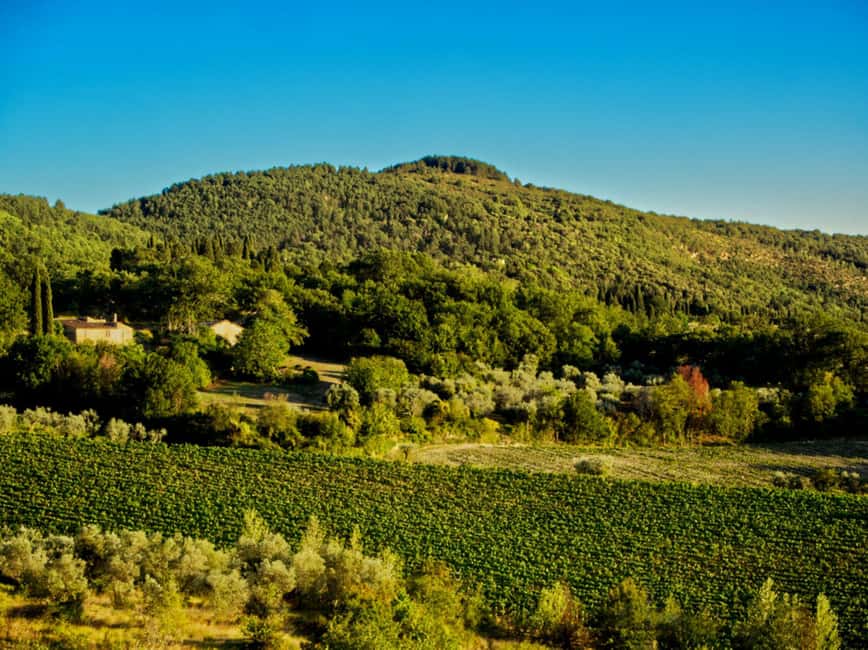 Florence: Fiesole E-Bike Tour with Olive Oil Tasting - Who should choose this tour?