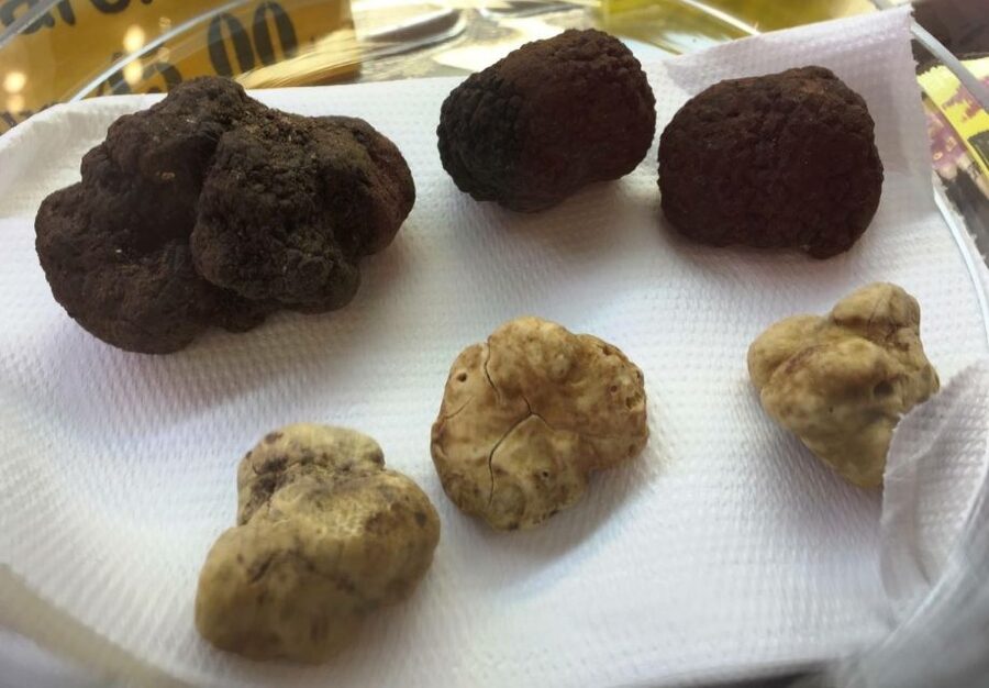 Florence: Guided Food Tour with Fiorentina Steak and Wine - BABAE: local snacks, spirits, and a wine-window moment