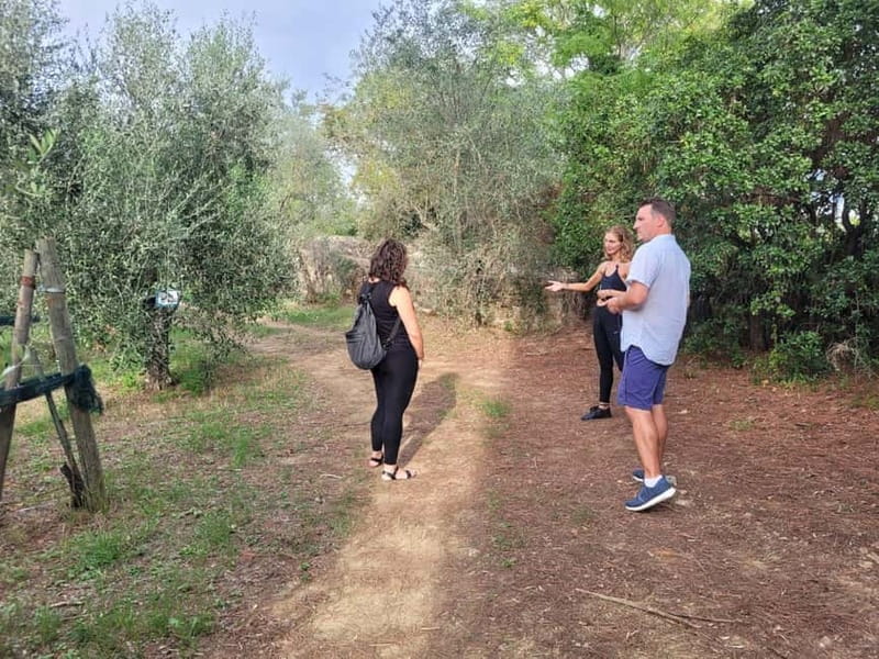 Florence: Half-Day Tuscan Countryside E-bike Tour with Wine - A closer look at the $134.81 price
