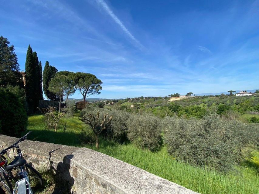 Florence: Half-Day Tuscan Countryside E-bike Tour with Wine - What makes the guide important