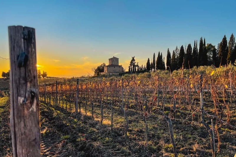 Florence: Hiking Tuscany & Chianti wine 3 wineries and lunch - Key points to know before booking