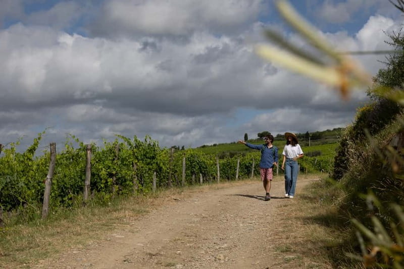 Florence: Hiking Tuscany & Chianti wine 3 wineries and lunch - Should you book this Chianti experience?