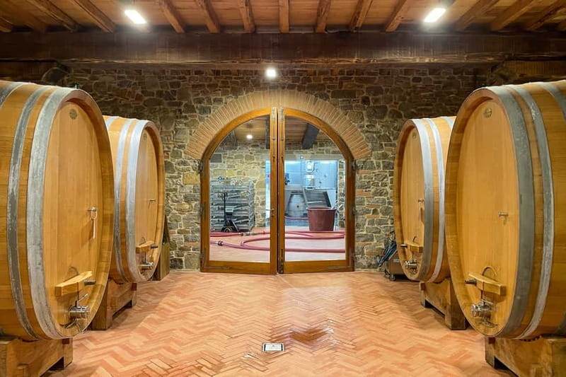 Florence: Hiking Tuscany & Chianti wine 3 wineries and lunch - Why this Chianti walk feels different