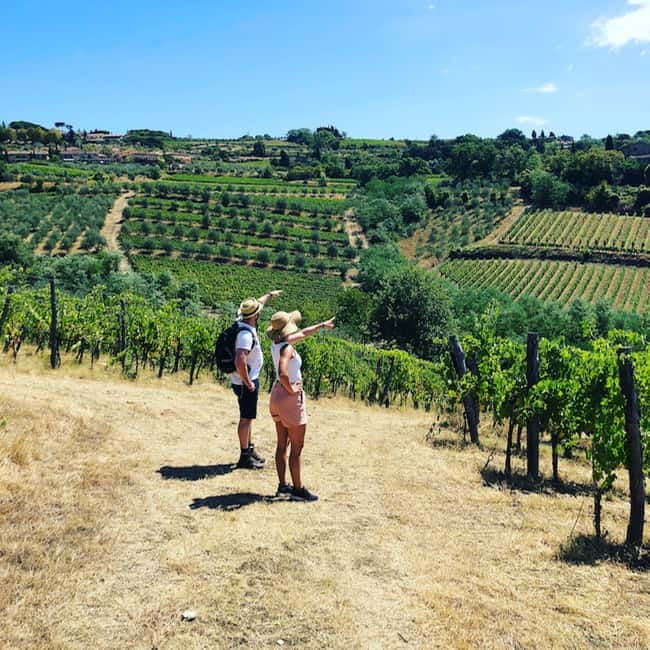 Florence: Hiking Tuscany & Chianti wine 3 wineries and lunch - The 12th-century cellar and first tasting