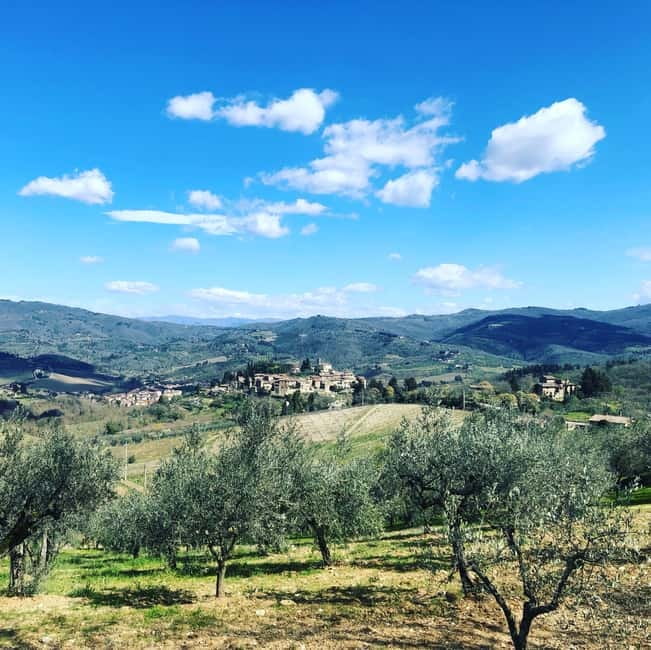 Florence: Hiking Tuscany & Chianti wine 3 wineries and lunch - Guides who make the walking worthwhile
