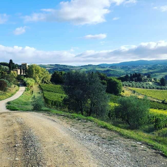 Florence: Hiking Tuscany & Chianti wine 3 wineries and lunch - From Florence to Panzano in the Conca d’Oro