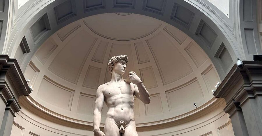 Florence: Michelangelo's David Entrance Ticket and Audio App - The Medici instruments and Stradivarius violins
