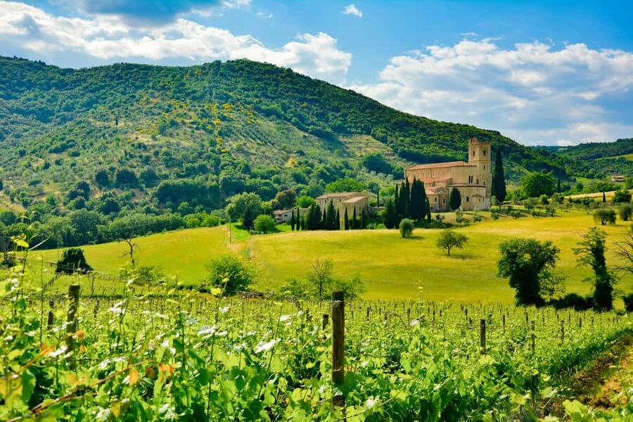 Florence: Orcia Valley, Montalcino, Pienza with Lunch & Wine - Who will get the most from this day