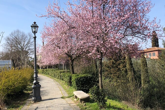 Florence Photo Safari Walking Tours - Via di San Leonardo and the road to Belvedere