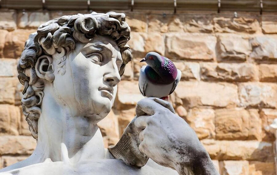 Florence: Piazza della Signoria & David - Anti Walking Tour - What the 45-minute route feels like