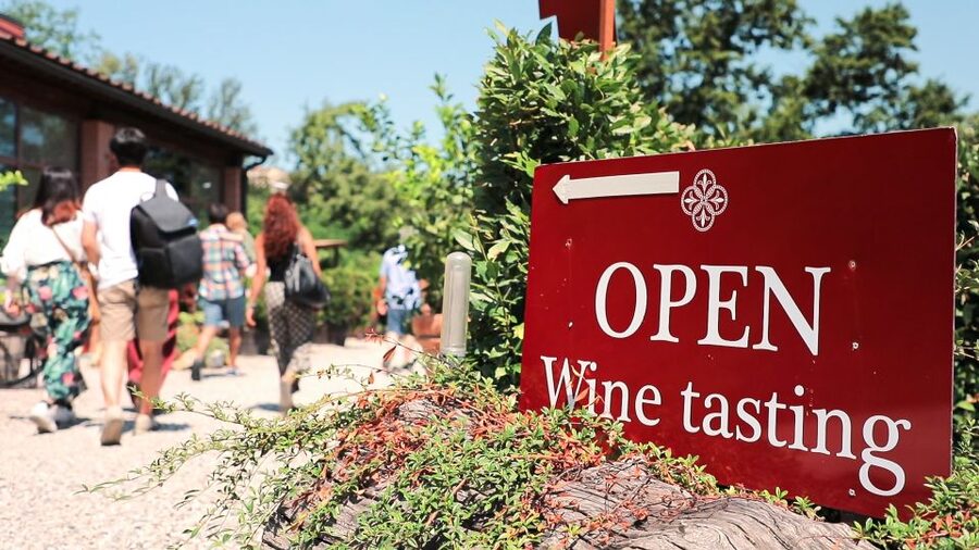 Florence: Pisa, Siena, S. Gimignano, Chianti Wine & Lunch - Lunch and wine in San Gimignano