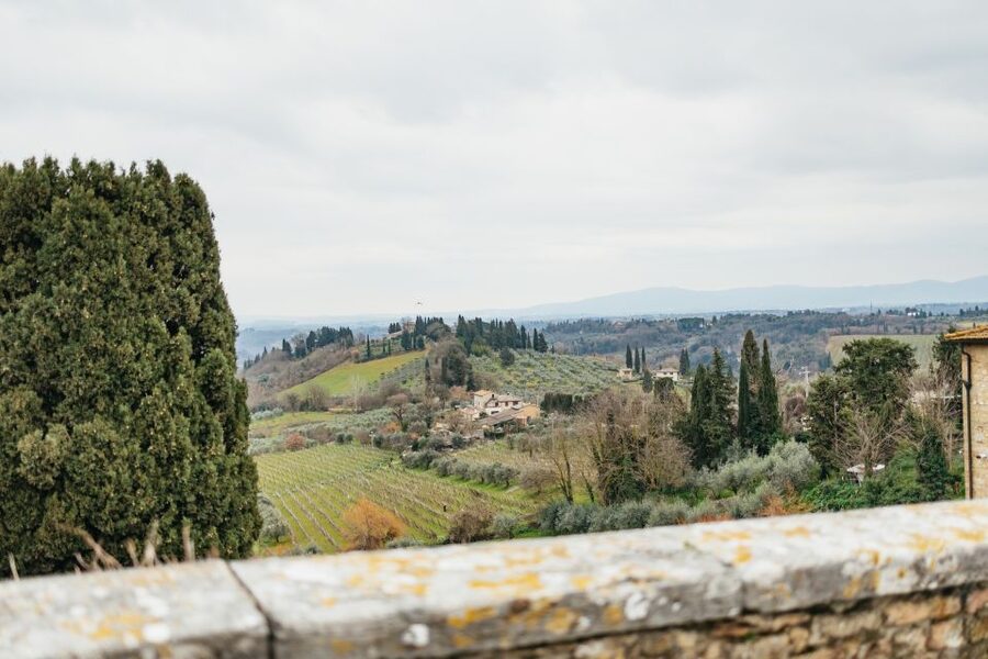 Florence: Pisa, Siena, San Gimignano, and Chianti Experience - San Gimignano, Tuscany’s medieval skyline