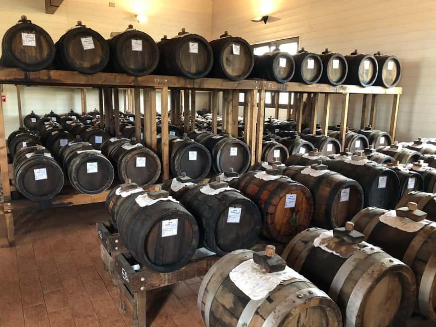 Florence:Private Ferrari Tour, Parmigiano & Balsamic Tasting - Modena and the craft of balsamic vinegar