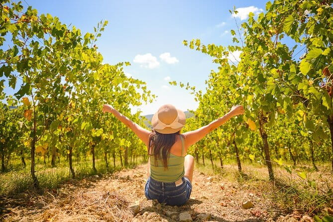 Florence: Private Half-Day Chianti Tour and Wine Tasting Optional - What the private format does best