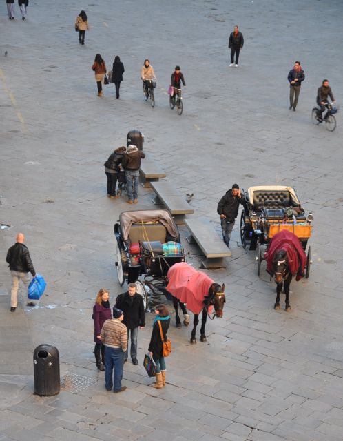 Florence: Private Walking Tour with a Local Guide - Booking advice for a smoother day