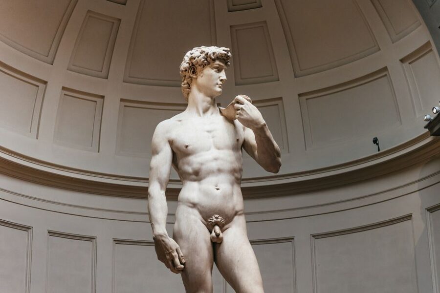 Florence: Skip-the-Line Accademia Guided Tour - What the guide adds to the visit