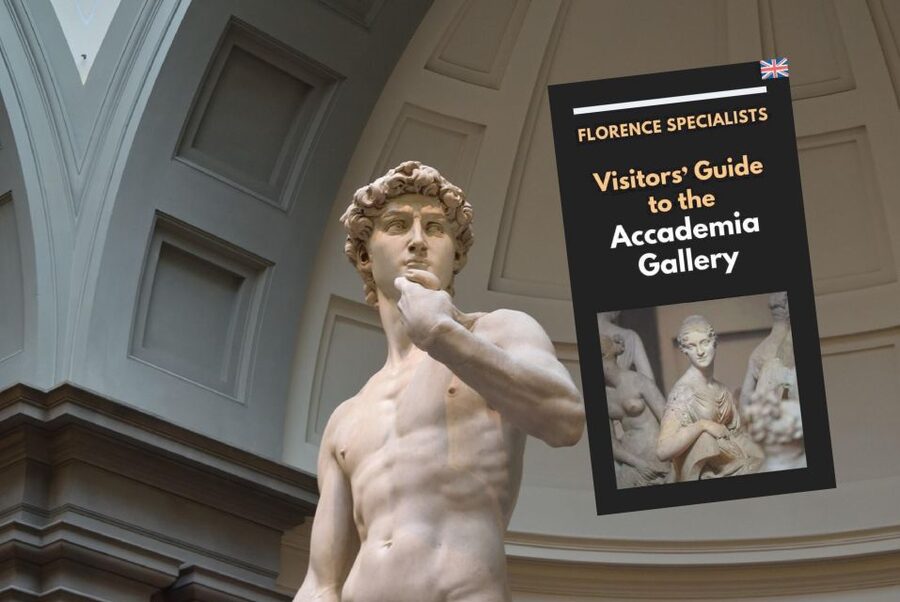 Florence: Timed Entry Ticket to Michelangelo's David & eBook - Key points to know before booking